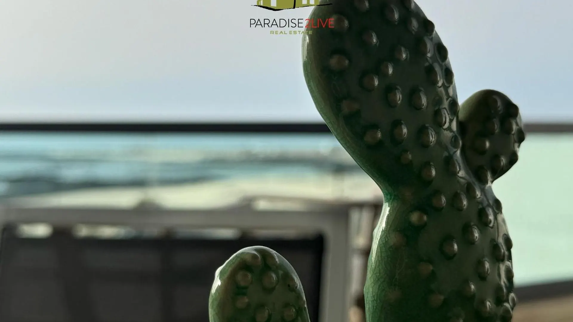 شقة Cactusvibes Cotillo