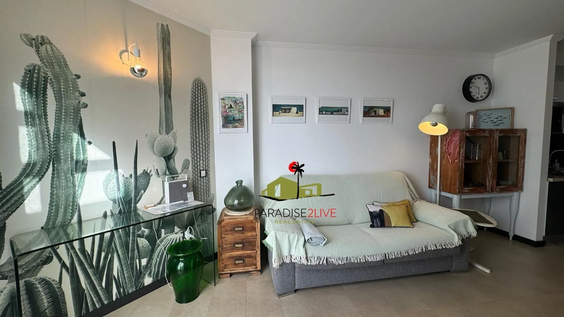 Cactusvibes Cotillo 0*,